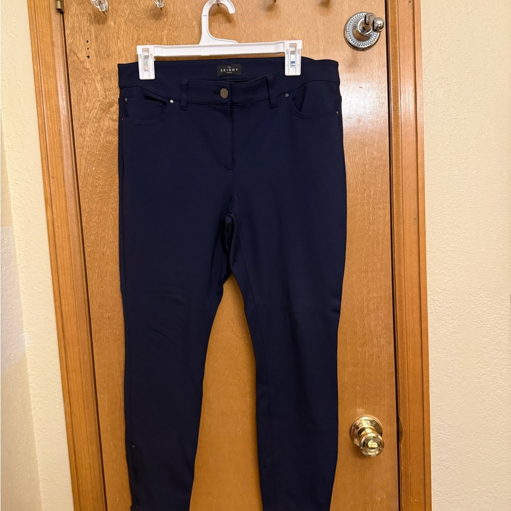 Ann Taylor Navy Skinny Pants